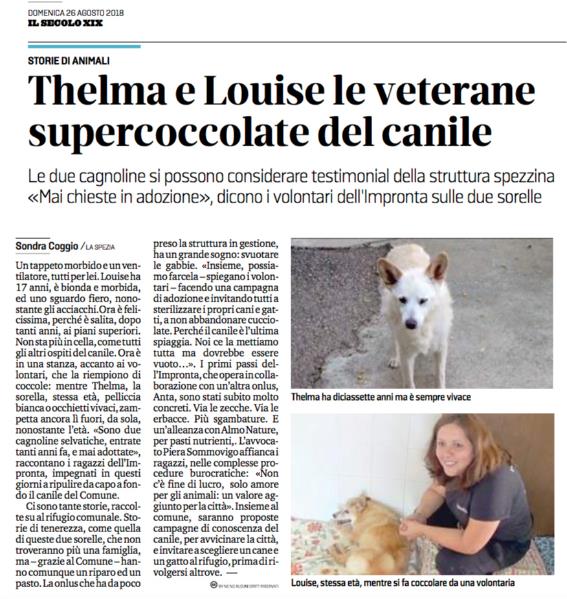 Thelma e Luise le nostre vecchiette protagoniste di questo articolo uscito su Il Secolo XIX.
 
Per agevolarne la lettura  riportiamo qui sotto il contenuto dell’articolo in maniera integrale:
 
Un tappeto morbido un ventilatore, tutti per lei. Louise ha 17 anni, è bionda e morbida, ed uno sguardo fiero, nonostante gli acciacchi. Ora è felicissima perché è salita, dopo tanti anni, ai piani superiori. Non sta più in cella, come tutti gli altri ospiti del canile.
Ora è in una stanza, accanto ai volontari, che la riempiono di coccole: mentre Thelma, la
sorella, stessa età, pelliccia bianca, occhietti vivaci, zampetta ancora lì fuori, da sola, nonostante l'età.
«Sono due cagnoline selvatiche, entrate tanti anni fa, e mai adottate», raccontano i ragazzi dell'Impronta, impegnati in questi giorni a ripulire da capo a fondo il canile del Comune.
Ci sono tante storie, raccolte su al rifugio comunale. Storie di tenerezza, come quella di queste due sorelle, che non troveranno più una famiglia, ma – grazie al comune – hanno comunque un riparo ed un pasto. La onlus che ha da poco preso la struttura in gestione, ha un grande sogno: svuotare le gabbie. «Insieme, possiamo farcela – spiegano i volontari - facendo una campagna di adozione e invitando tutti a sterilizzare i propri cani e gatti, a non abbandonare cucciolate. Perché il canile è l'ultima spiaggia. Noi ce la mettiamo tutta ma dovrebbe essere vuoto...». I primi passi dell’impronta, che opera in collaborazione con un'altra onlus, Anta, sono stati subito molto concreti. Via le zecche. Via le erbacce. Più sgambature. E un’alleanza con Almo Nature, per pasti nutrienti. L'avvocato Piera Sommovigo affianca i ragazzi, nelle complesse procedure burocratiche: «Non c’è fine di lucro, solo amore per gli animali: un valore aggiunto per la città».
 
Insieme al comune, saranno proposte campagne di conoscenza del canile per avvicinare la città, e invitare a scegliere un cane e un gatto al rifugio, prima di rivolgersi altrove. —
 